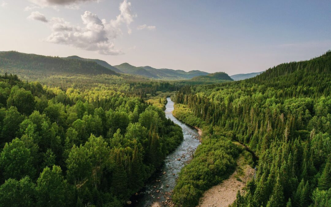 Understanding Insurance Through an Indigenous Lens